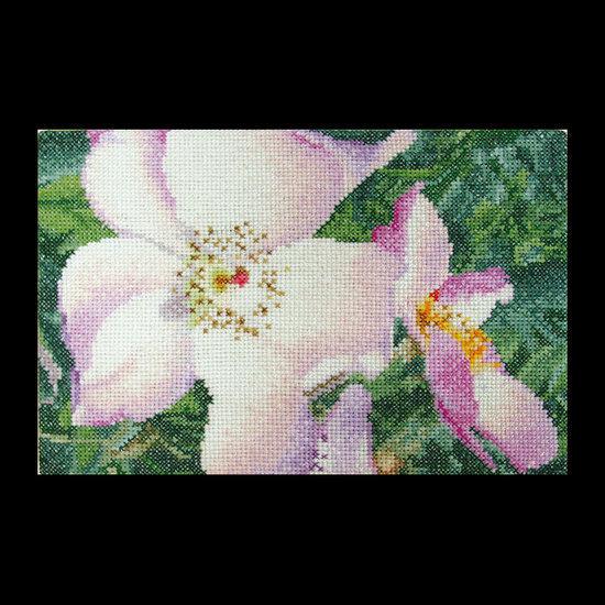 425A Roos New Face Borduurpakket