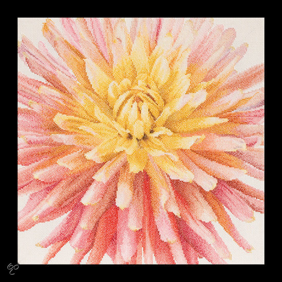 441A Dahlia  Borduurpakket