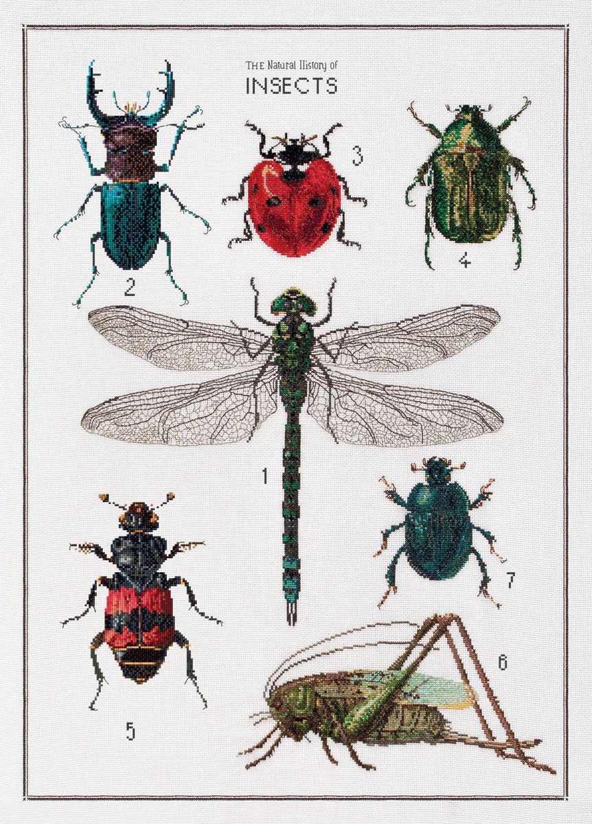   - Counted Cross Stitch Kit - Embroidery Kit - 566 - The History of Insects - Pre-Sorted DMC Threads - Linen - 24 Inch x 30 Inch - DIY Kit