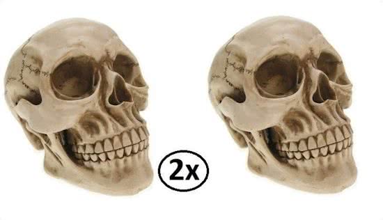2x Doodshoofd 20cm