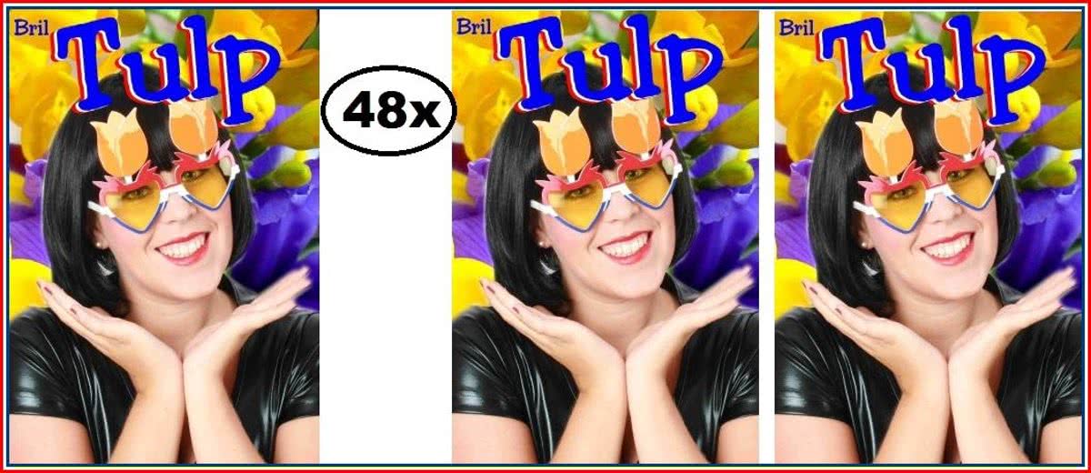 48x Bril ik hou van Holland