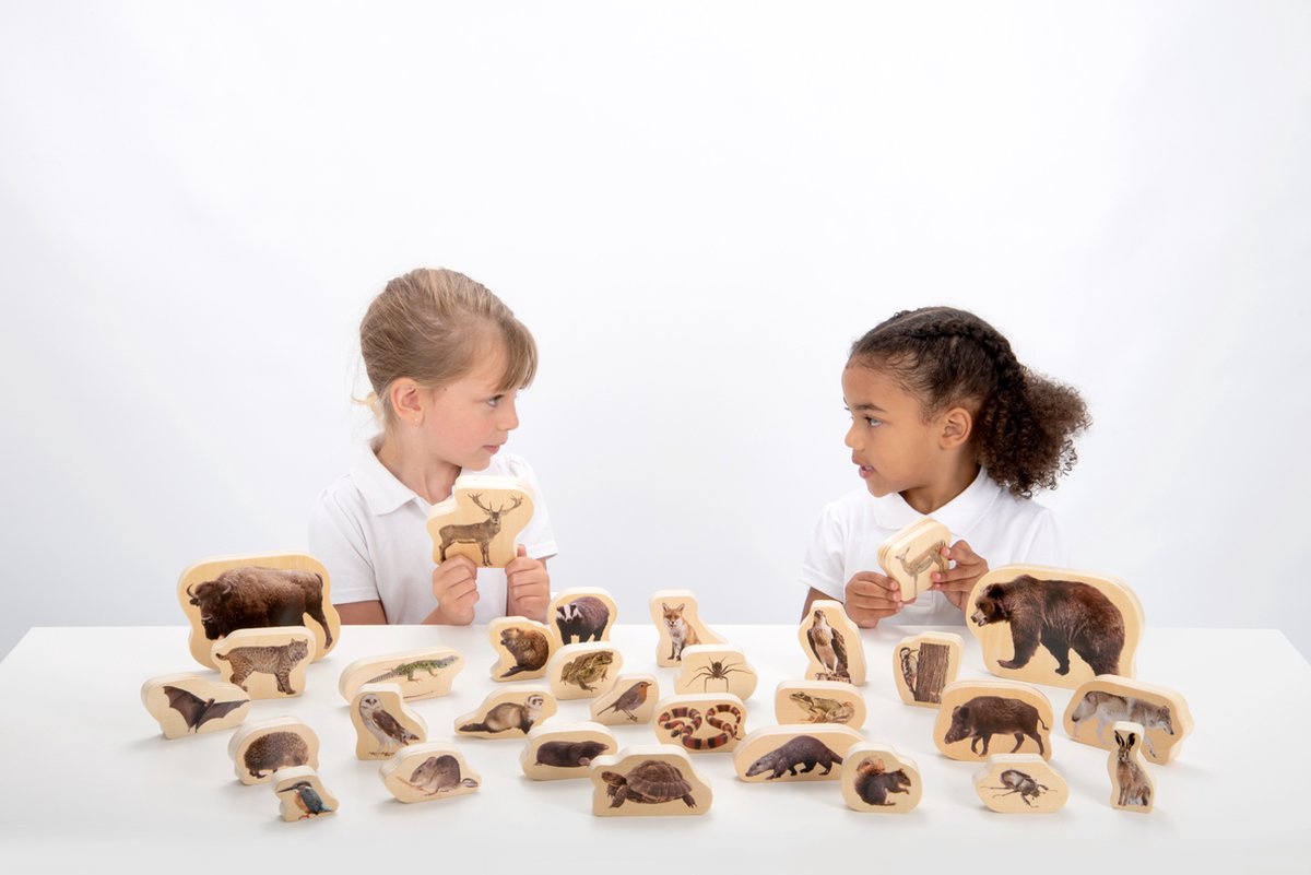 HOUTEN BOS DIERENBLOKKEN