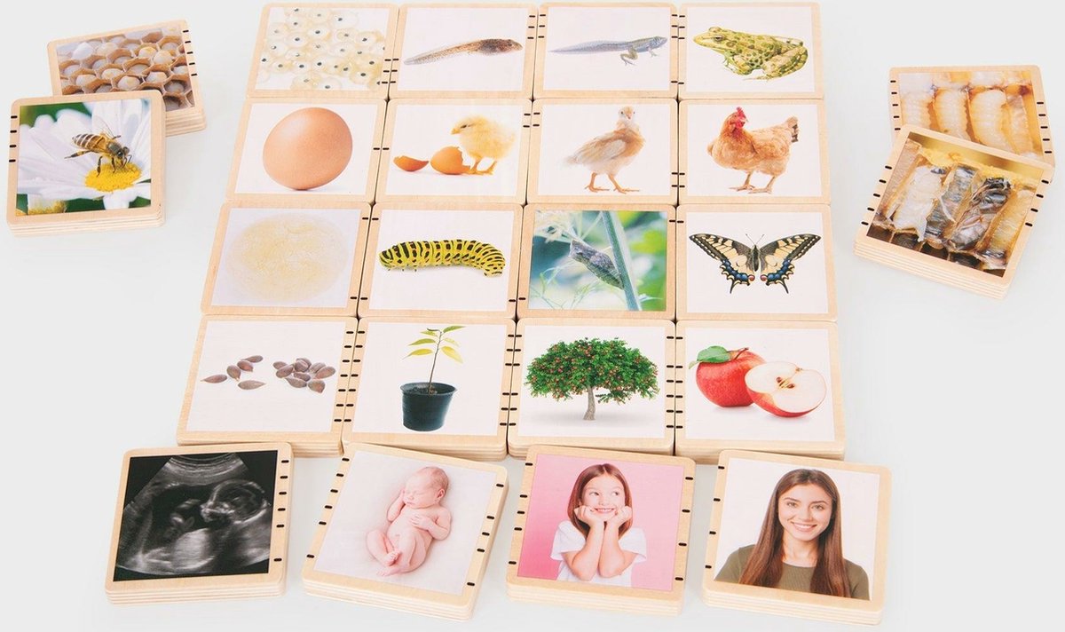 tickit® Houten Levenscyclus Tegels