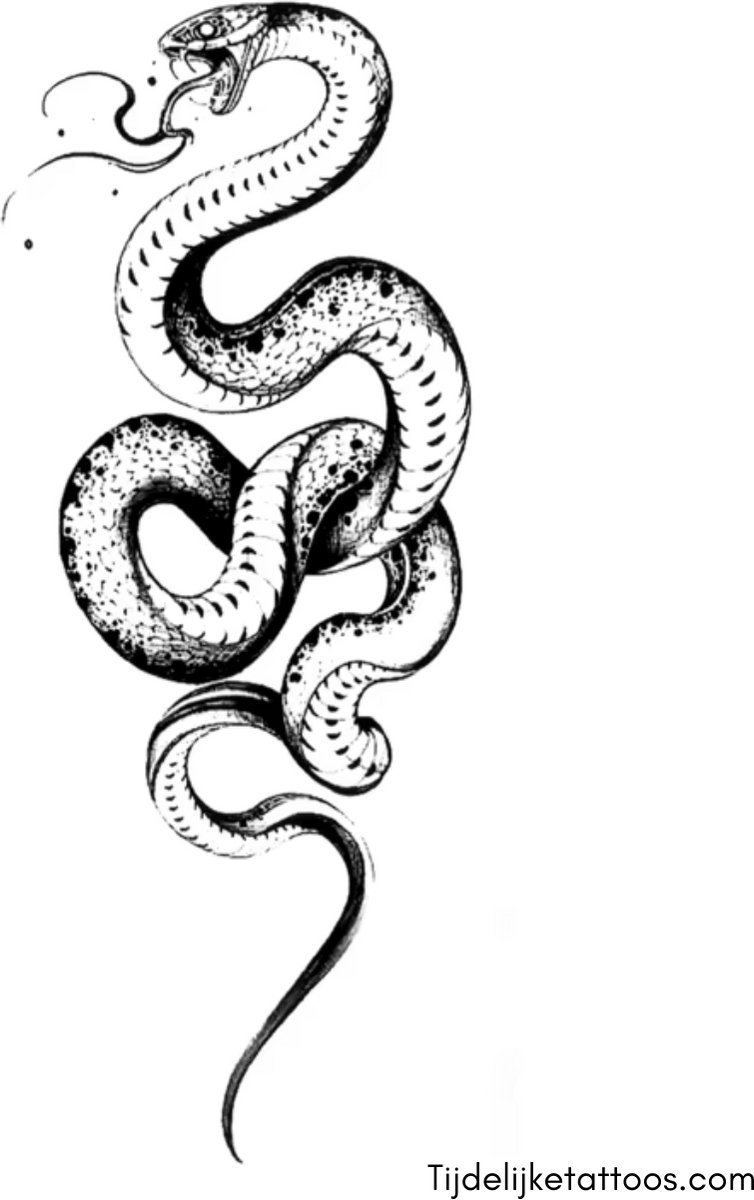 Tijdelijke Tattoo Shop Snake Tattoo - Temporary fake tattoo voor feest & party