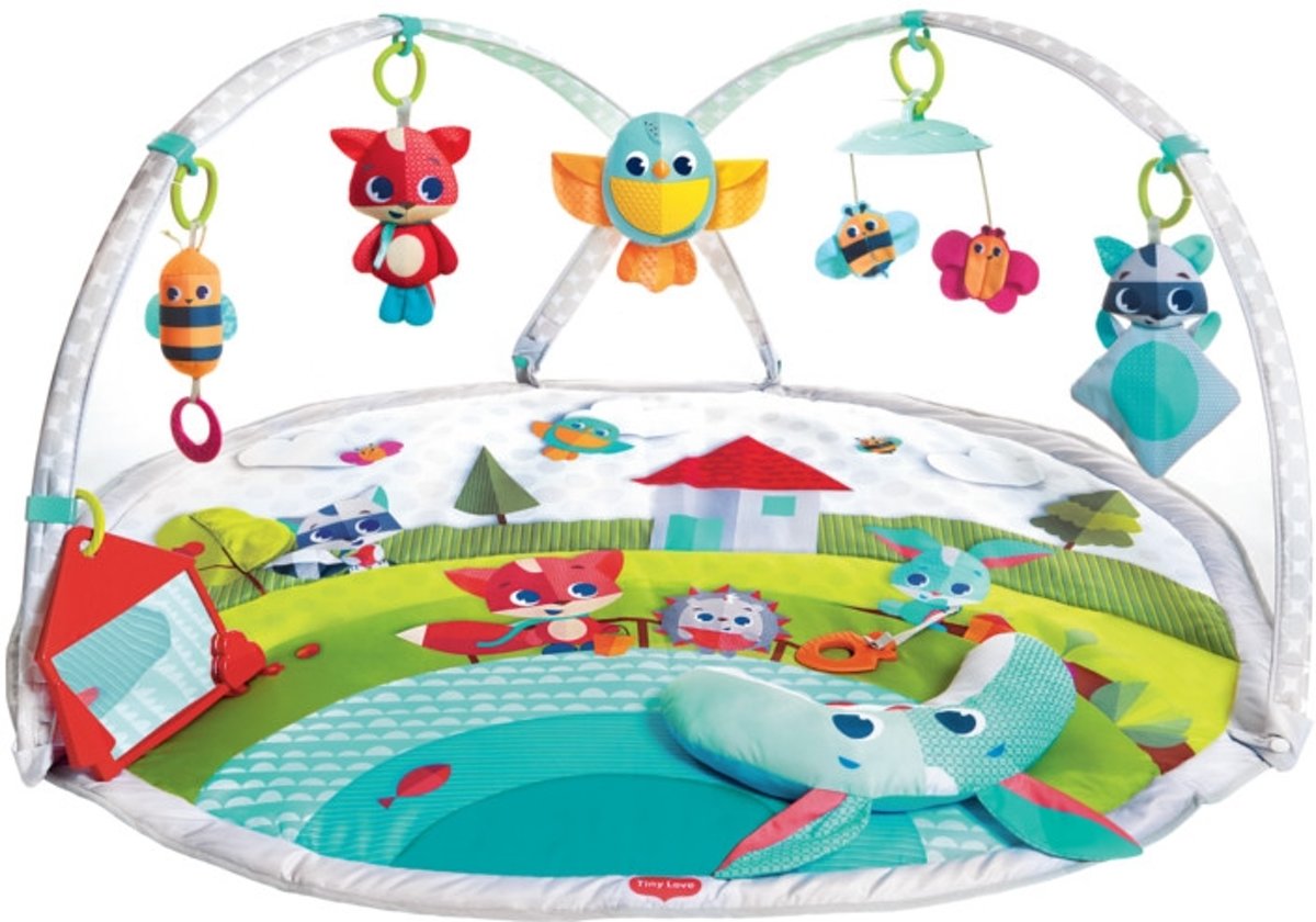 Tiny Love Dynamic Gymini Meadow