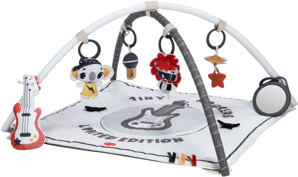 Tiny Love Rock With Me Gymini - Tiny Rockers - Vanaf de geboorte tot 4 jaar oud