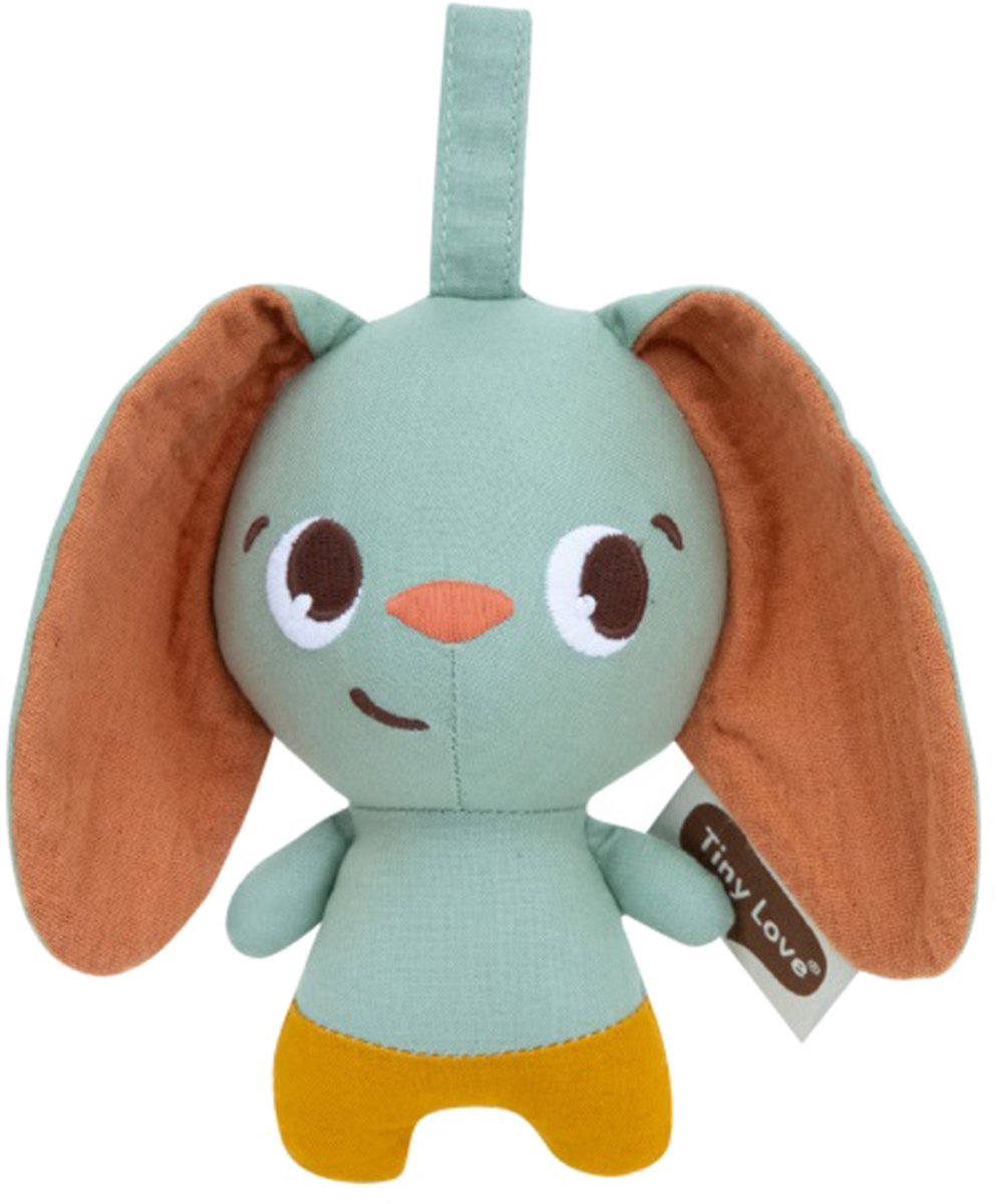Tiny Love Tiny Smart Bunny - Garden Of Adventures