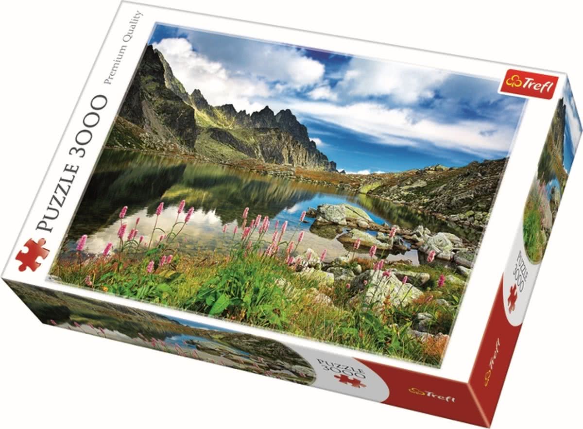 Starolesnianski Pond / Trefl - 3000 pcs Legpuzzel