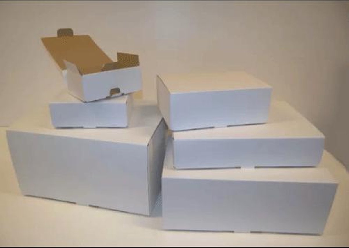 10 postverzenddozen nr. 5 01096325