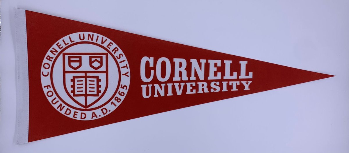 Cornell University - University of Cornell - Cornell Uni - Vaantje - Sportvaantje -   - Vlag - Pennant - Ivy League amerika - 31 x 72 cm - Cadeau sport - Cadeau - Cornell logo - andy bernard - bernard cornell - the office us - the office cornell