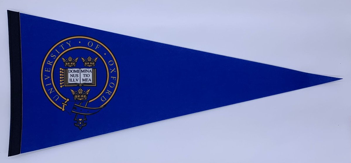 Oxford University - University of Oxford - Oxford Uni - Oxford - VK - Universiteit van Oxford - Vaantje - Sportvaantje -   - Vlag - Pennant - Ivy League - 31 x 72 cm - Cadeau uni - Vaantje Oxford - Vlag Oxford - Uk uni - VK uni - Lichtblauw