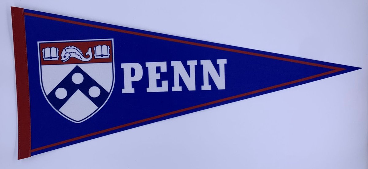 PENN University - University of PENN - PENN Uni - VS - NCAA - Vaantje - American Football - Sportvaantje - Wimpel - Vlag - Pennant - Universiteit - Ivy League amerika - 31 x 72 cm - Cadeau sport - Cadeau uni - PENN logo - Penn state uni - Penn state