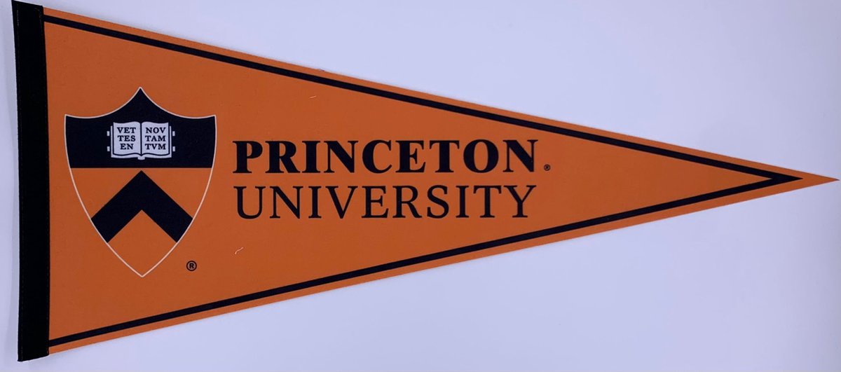 Princeton University - University of Princeton - Princeton Uni - VS - Vaantje - American Football - Sportvaantje - Wimpel - Vlag - Pennant - Universiteit - Ivy League amerika - 31 x 72 cm - Cadeau sport - Cadeau uni - Princeton logo - Oranje