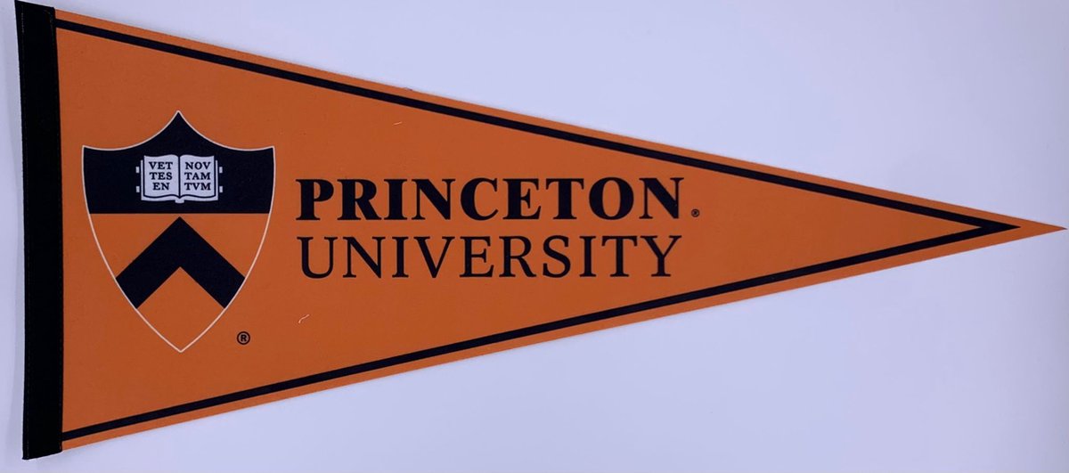 Princeton University - University of Princeton - Princeton Uni - VS - Vaantje - American Football - Sportvaantje -   - Vlag - Pennant - Universiteit - Ivy League amerika - 31 x 72 cm - Cadeau sport - Cadeau uni - Princeton logo - Oranje