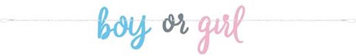 Letterslinger Gender Reveal 213 cm