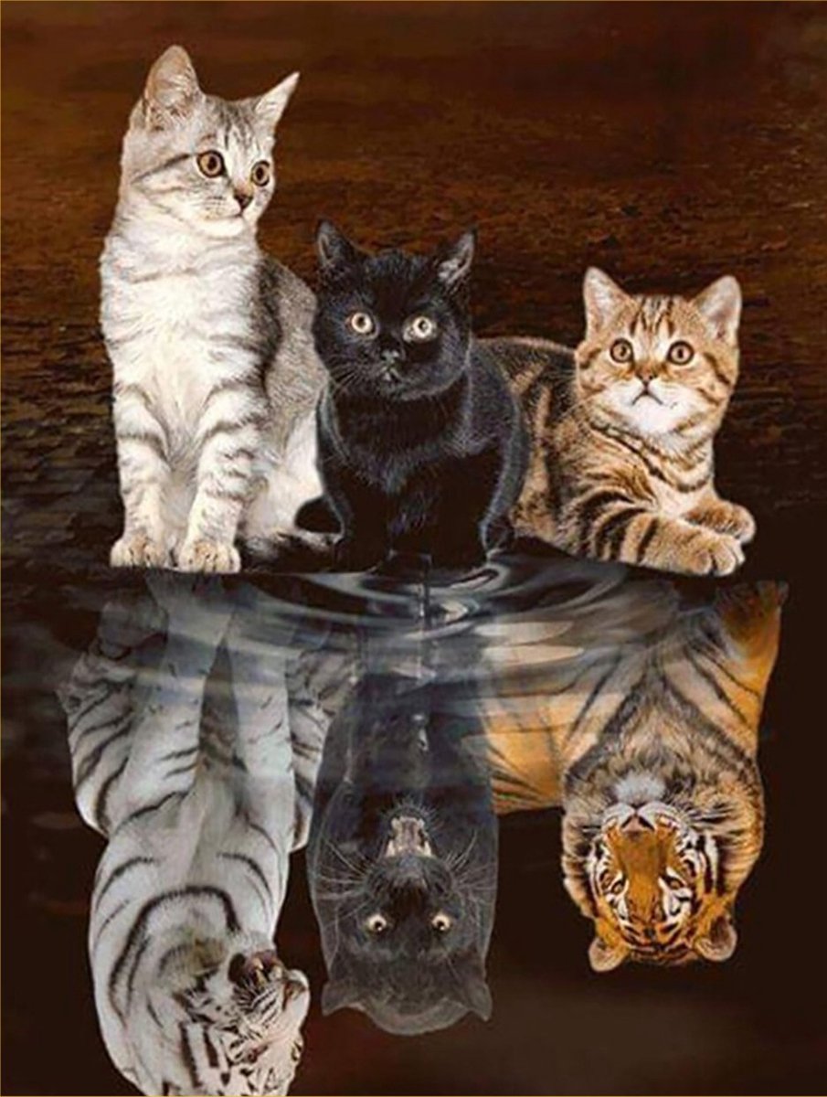 DIAMOND PAINTING volwassenen - VDT042 - vierkante steentjes - full -  groot formaat - nieuwe tekeningen - 45 op 55 cm (canvas) - 40 op 50 (foto)