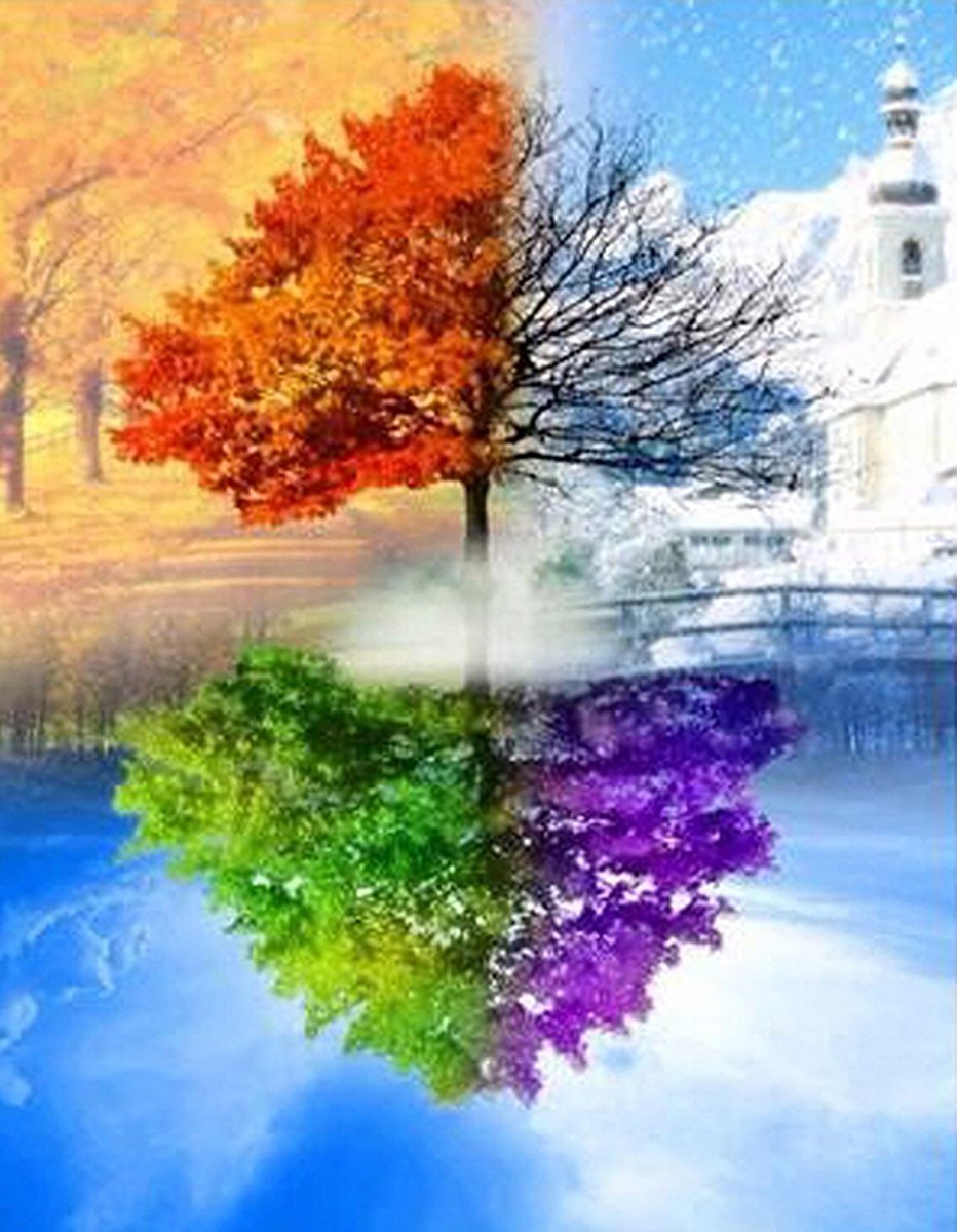 DIAMOND PAINTING volwassenen - VDT048 - vierkante steentjes - full -  groot formaat - nieuwe tekeningen - 45 op 55 cm (canvas) - 40 op 50 (foto)