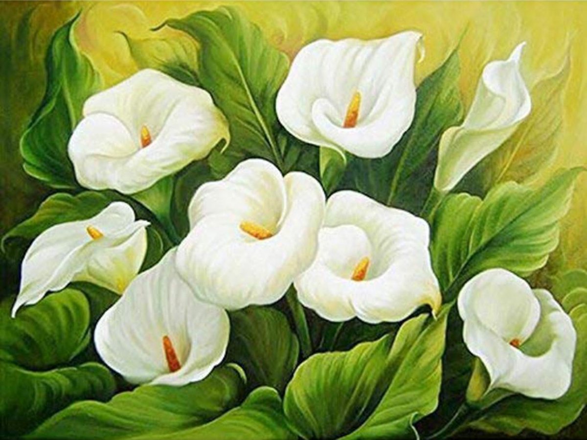 Vitamo™ Diamond Painting 40x30 cm - Vierkante Steentjes - Volledige Bedekking voor het Mooiste Resultaat - Complete Pakket inclusief Tools - Witte Bloemen