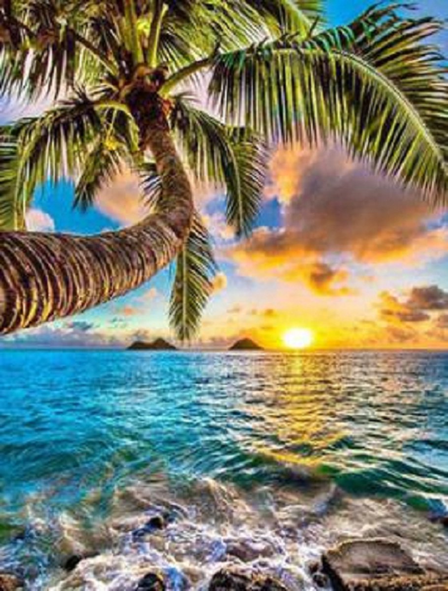 VSE Diamond painting voor volwassenen oceaan met palmboom 30 X 40 cm met vierkante steentjes - Volledig pakket - M0248-3