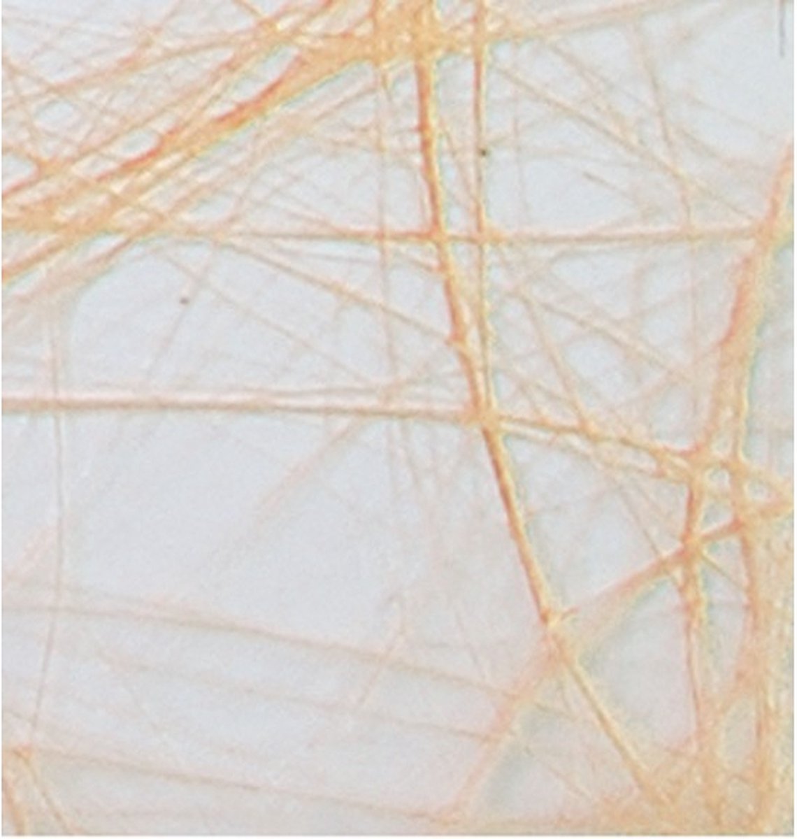 Sizoweb 25mx30cm abrikoos