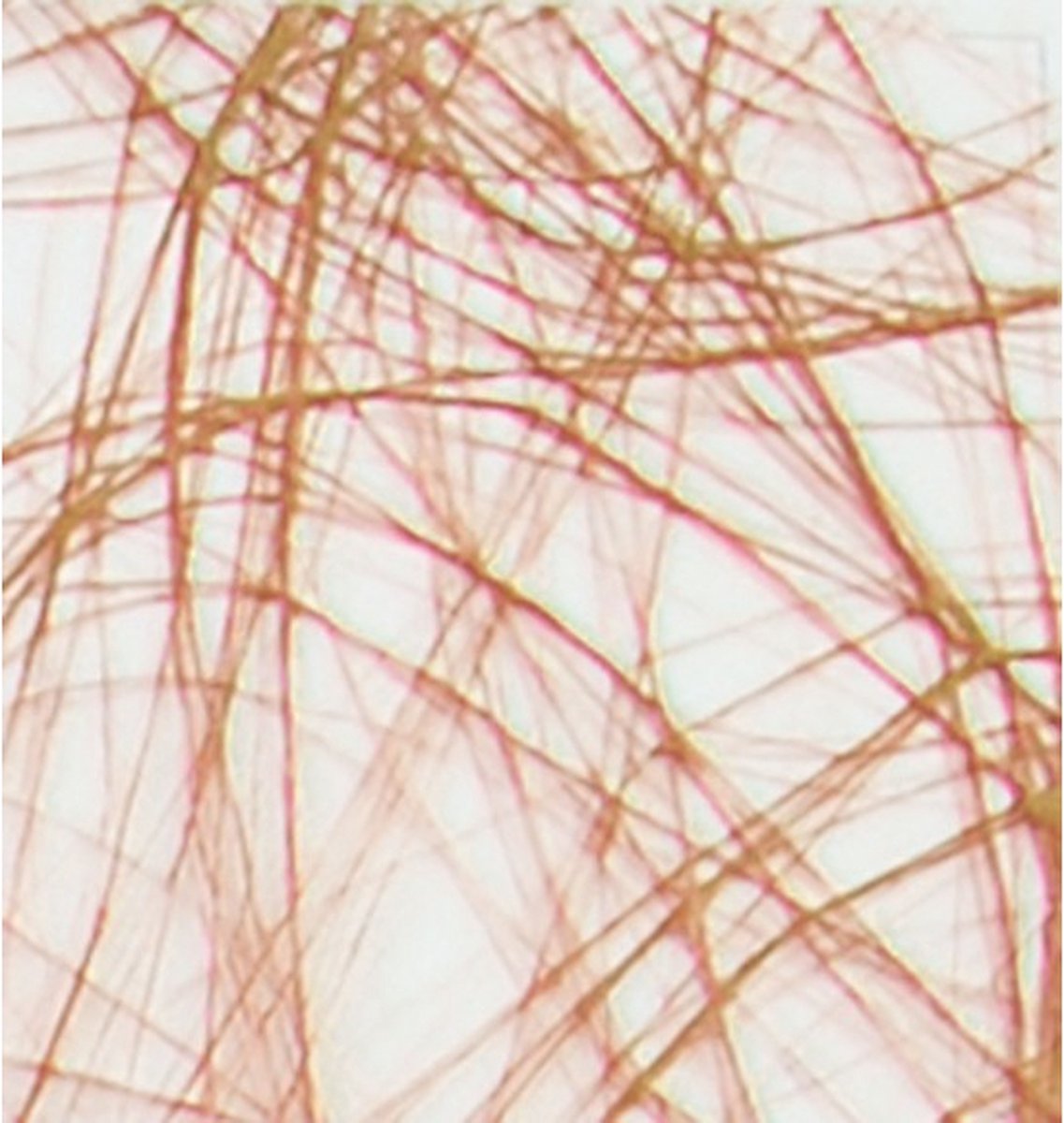 Sizoweb 25mx30cm bruin