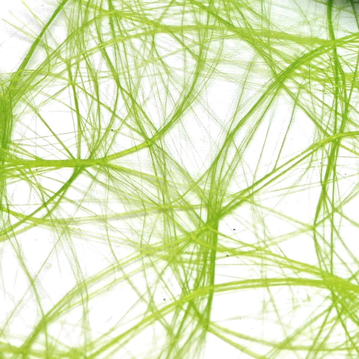 Sizoweb 25mx30cm limoen