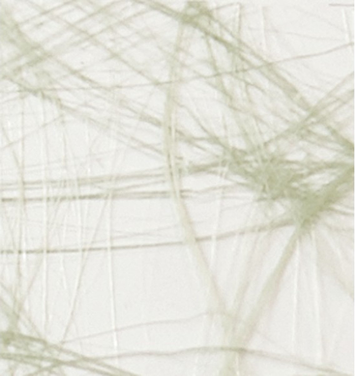 Sizoweb 25mx30cm mosgroen