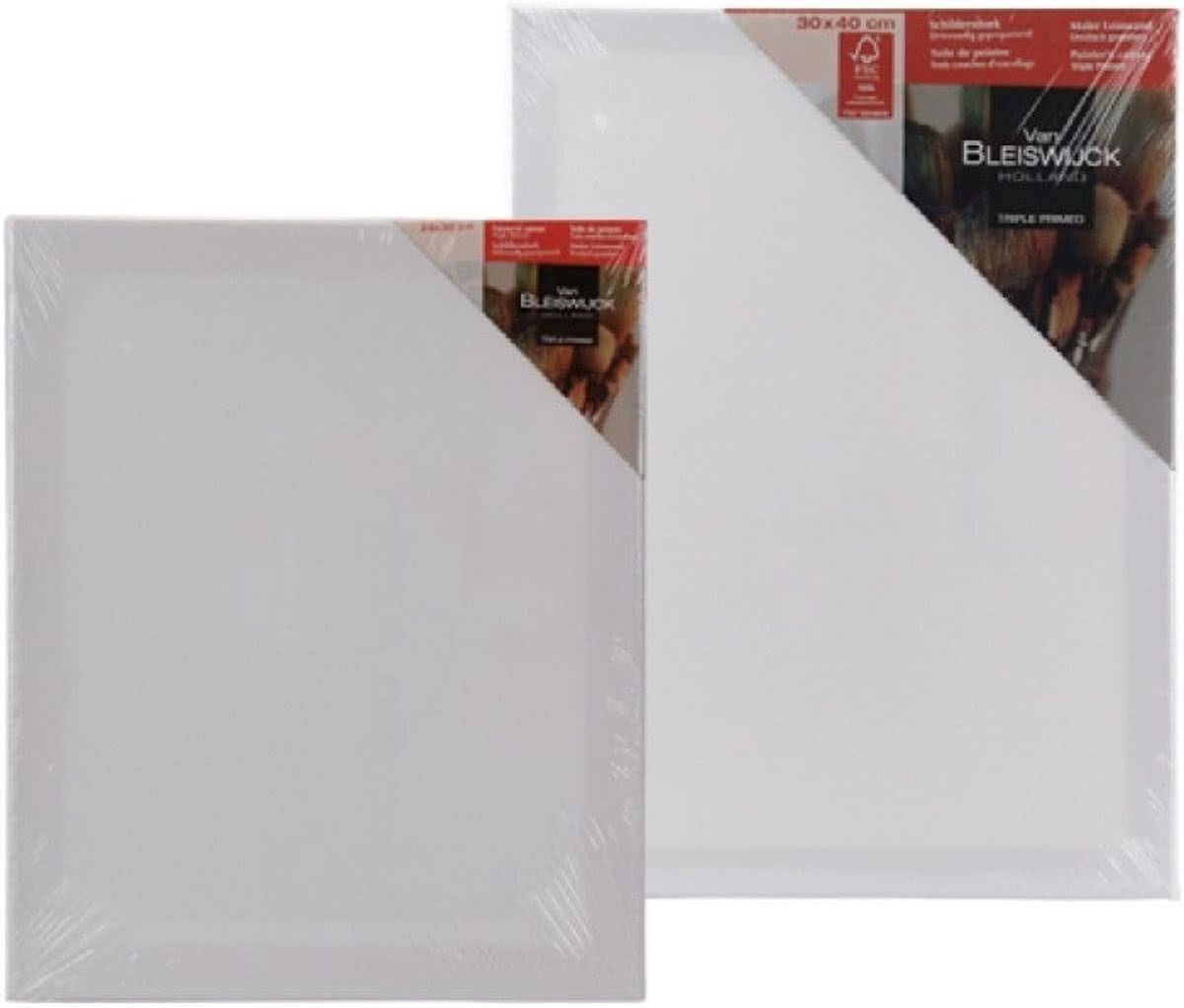 Schilderdoek canvas 20x20cm van Bleiswijck Holland - 2 stuks -   - 20x20cm - schilder doek - drievoudig geprepareerd