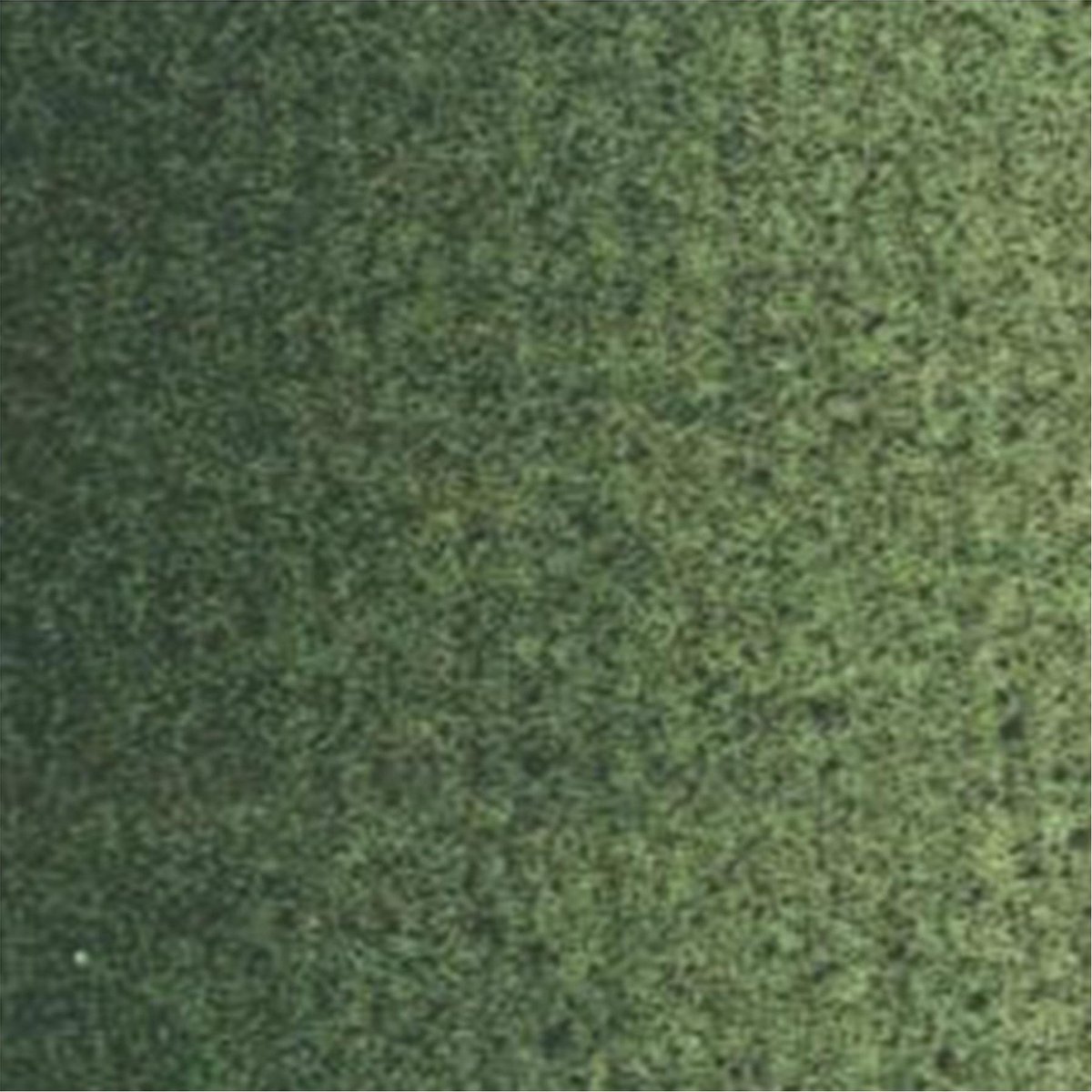 Van Gogh Olieverf Tube - 40 ml 629 Groene Aarde