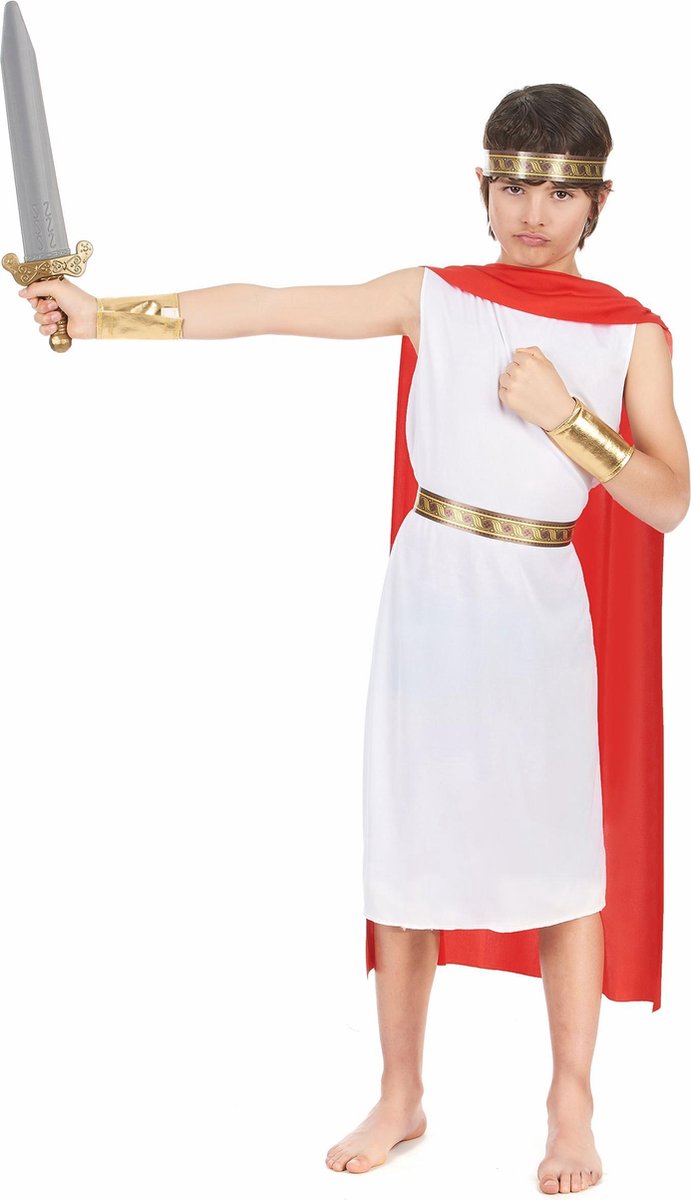   - 8 FSC Wonder Woman papieren borden 23 cm