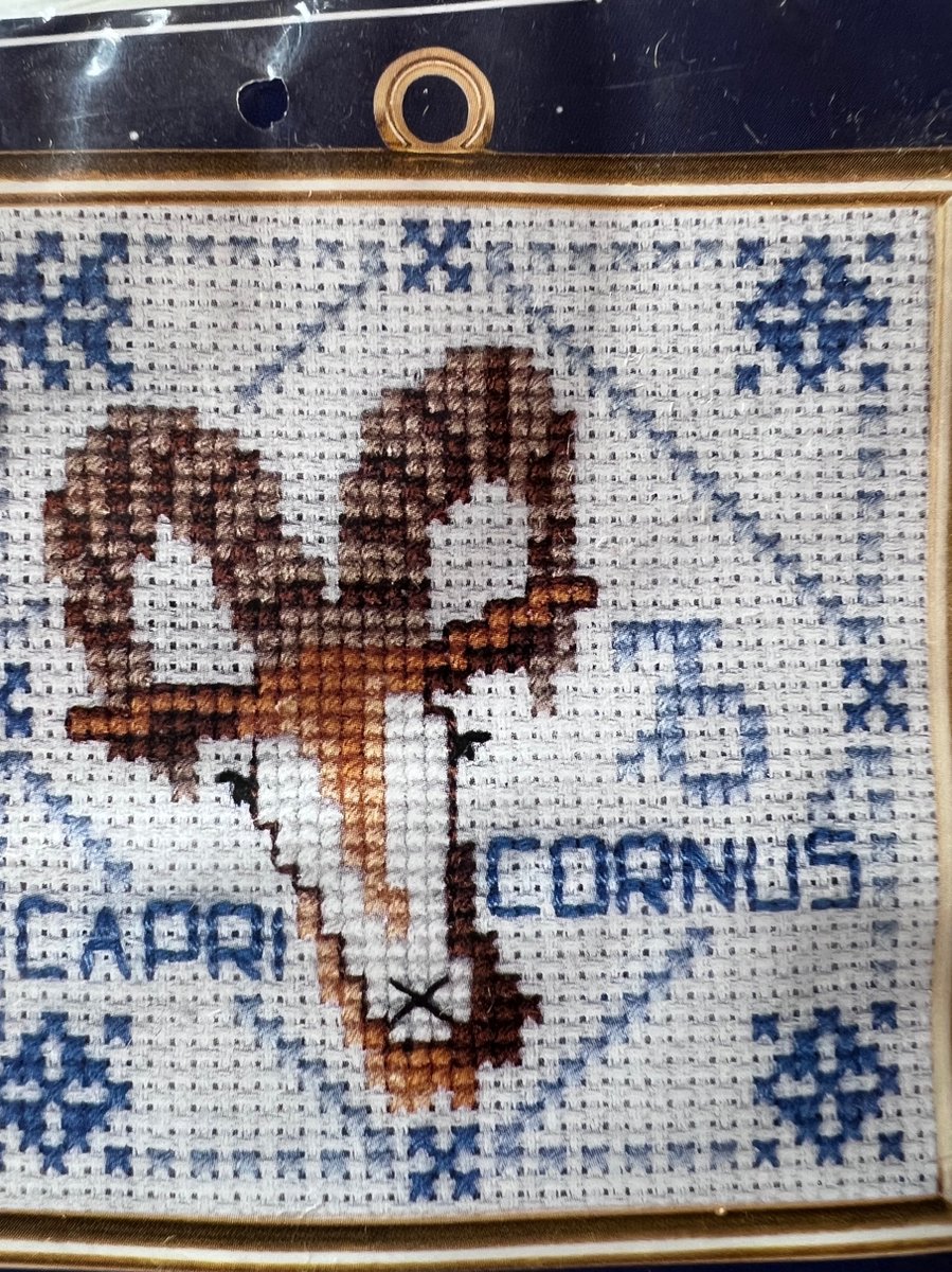 borduurpakket - Sterrenbeelden - Steenbok - inclusief lijst