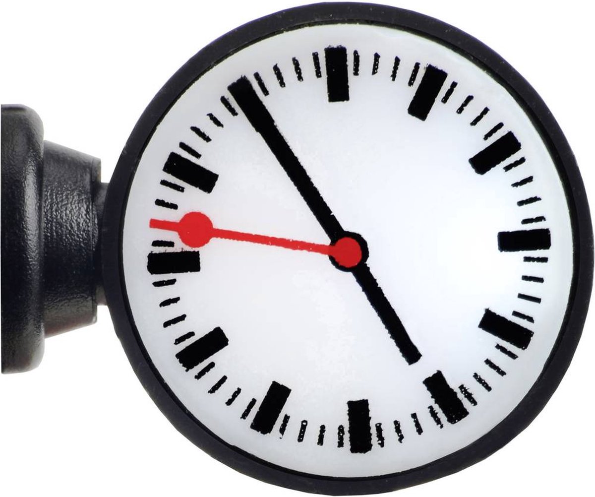 Viessmann H0 Stationsklok Enkel Kant-en-klaar model 1383 1 stuk(s)