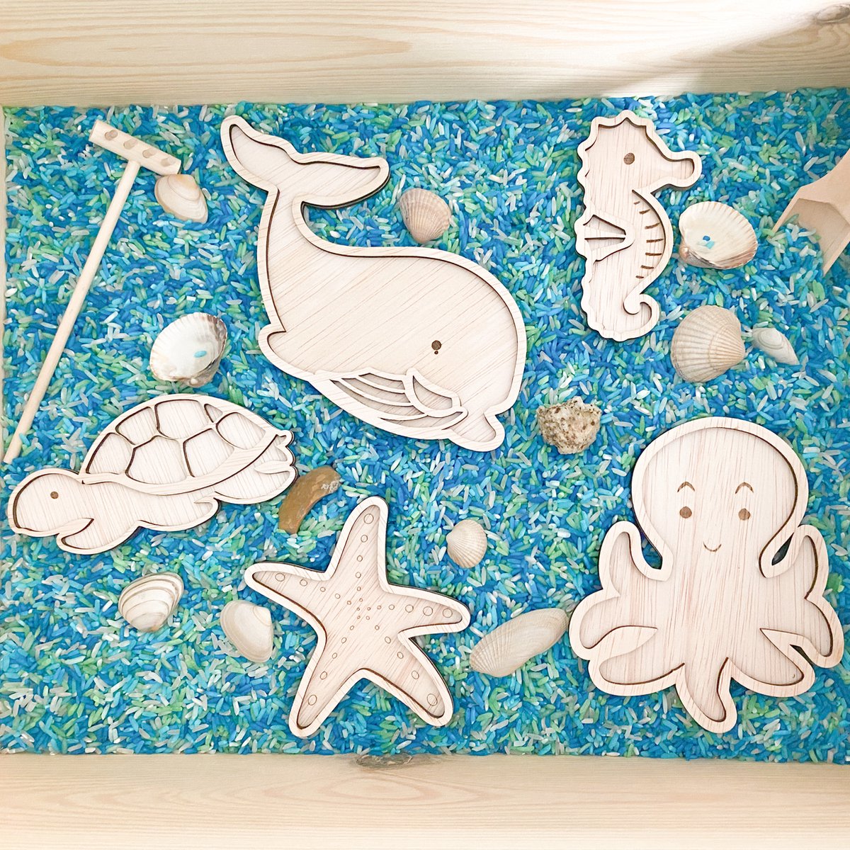 Houten zeedieren vulvormen set - 5 stuks - Walvis, zeester, schildpad - Oceaan - Speelrijst vorm - Sensory, sensorisch speelgoed speelframe, Montessori open-ended, vultray, speelbak speelvorm