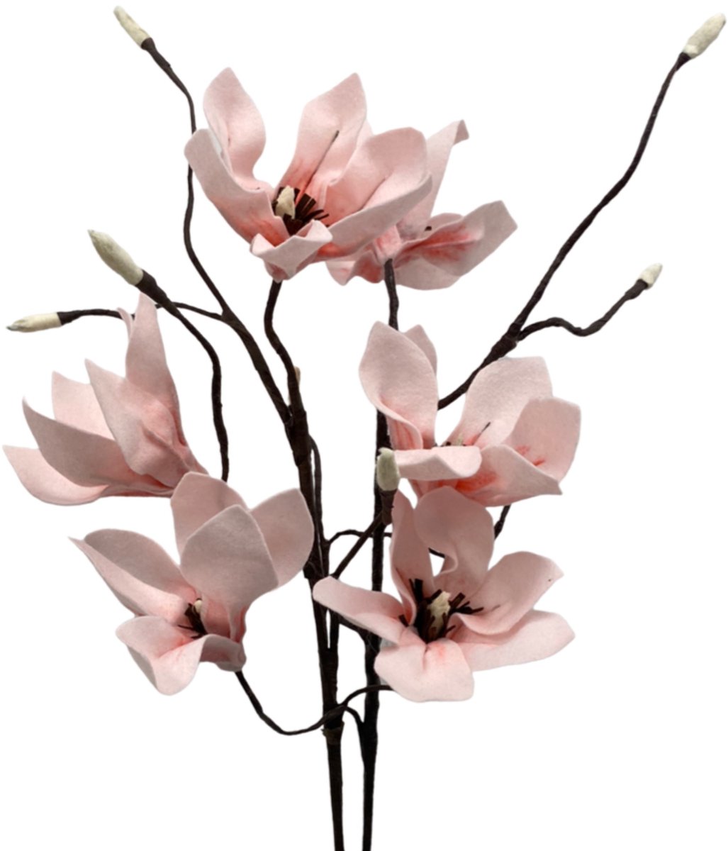 Vilt Bloemen - DIY Pakket - Magnolia - Set van 3 takken