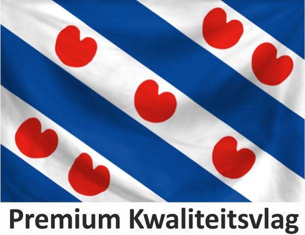 Friese Vlag Friesland 200x300cm Premium