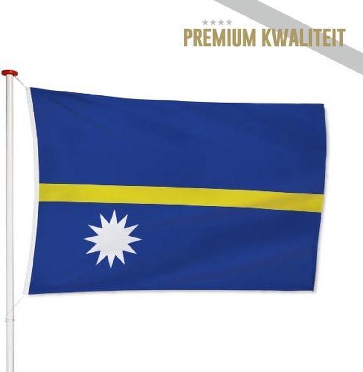 Nauruaanse Vlag Nauru 40x60cm
