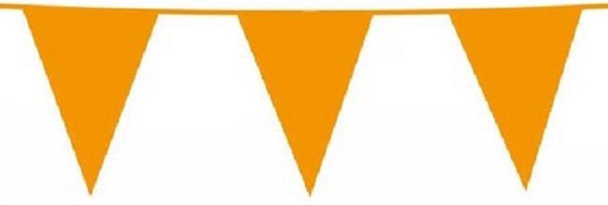 Vlaggenlijn Oranje 10m 30x45cm