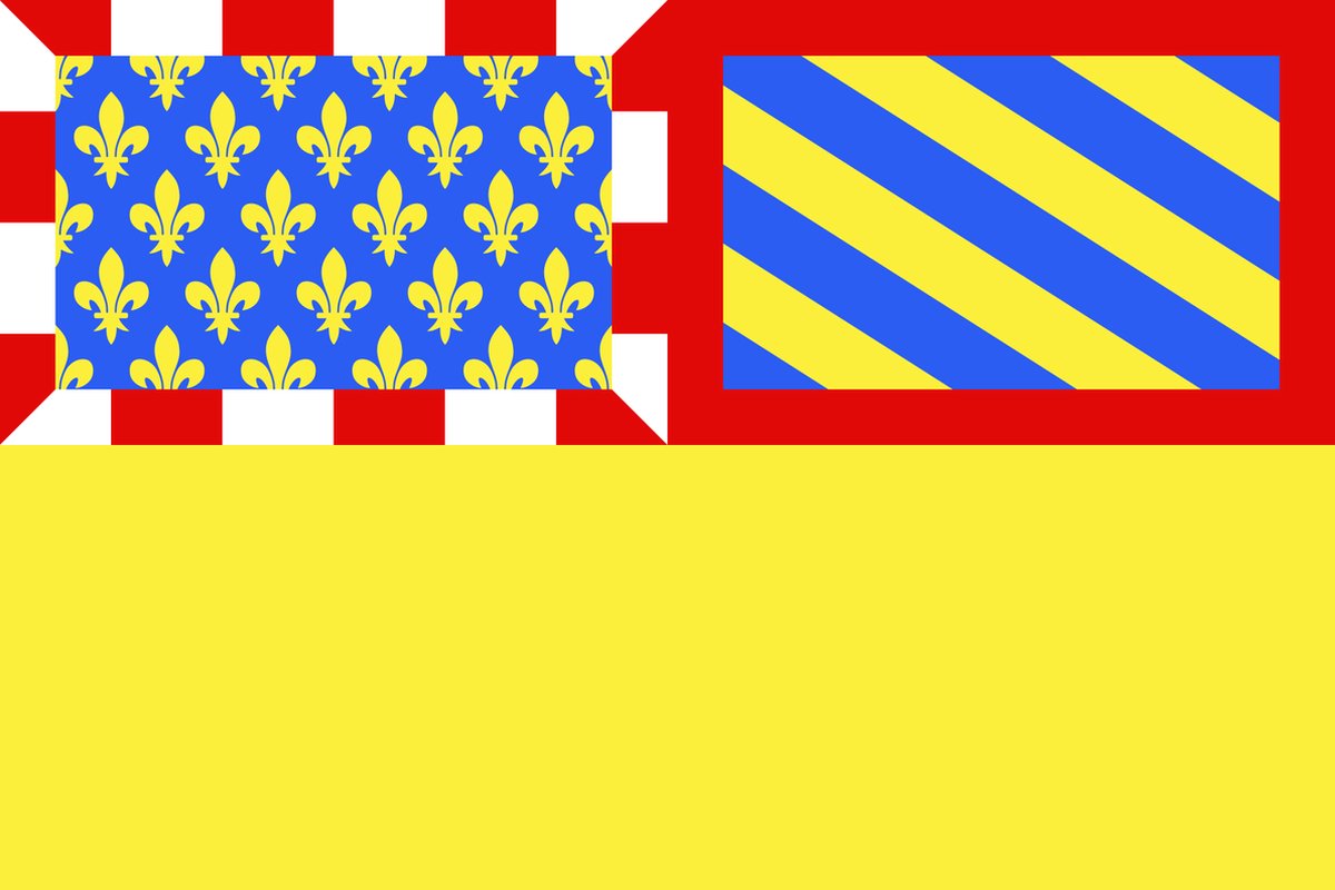 Vlag Côte-dOr 150x225cm