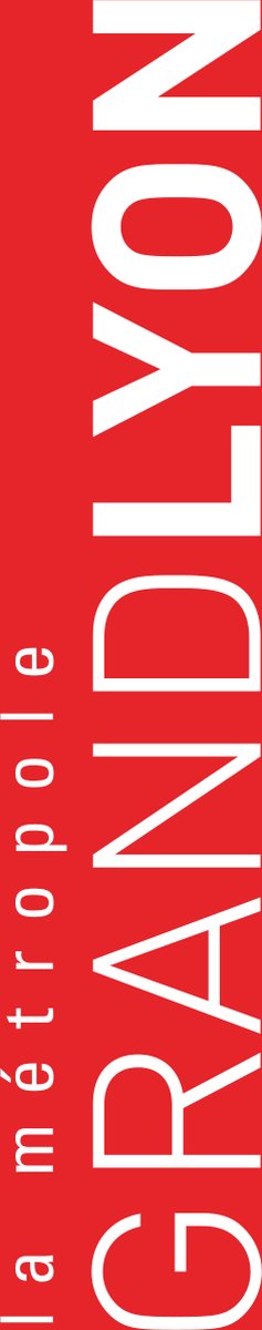 Vlag Métropole de Lyon 200x300cm