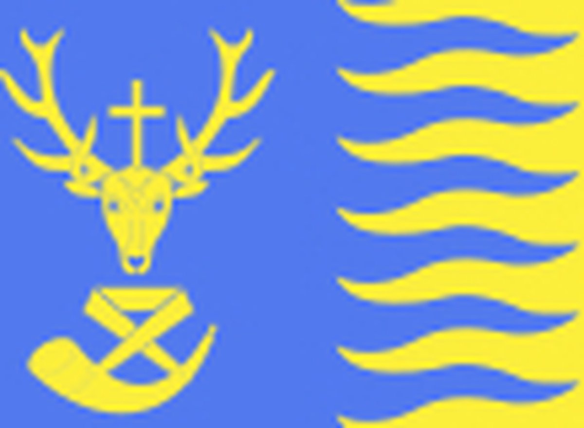 Vlag Saint-Hubert 200x300cm