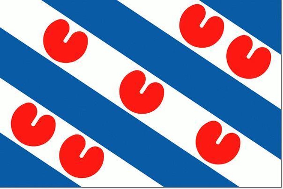Friese vlag 30x45cm