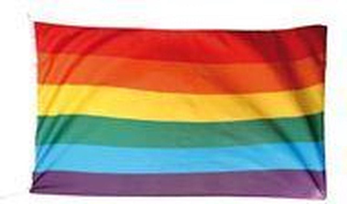 Regenboogvlag 60x90cm