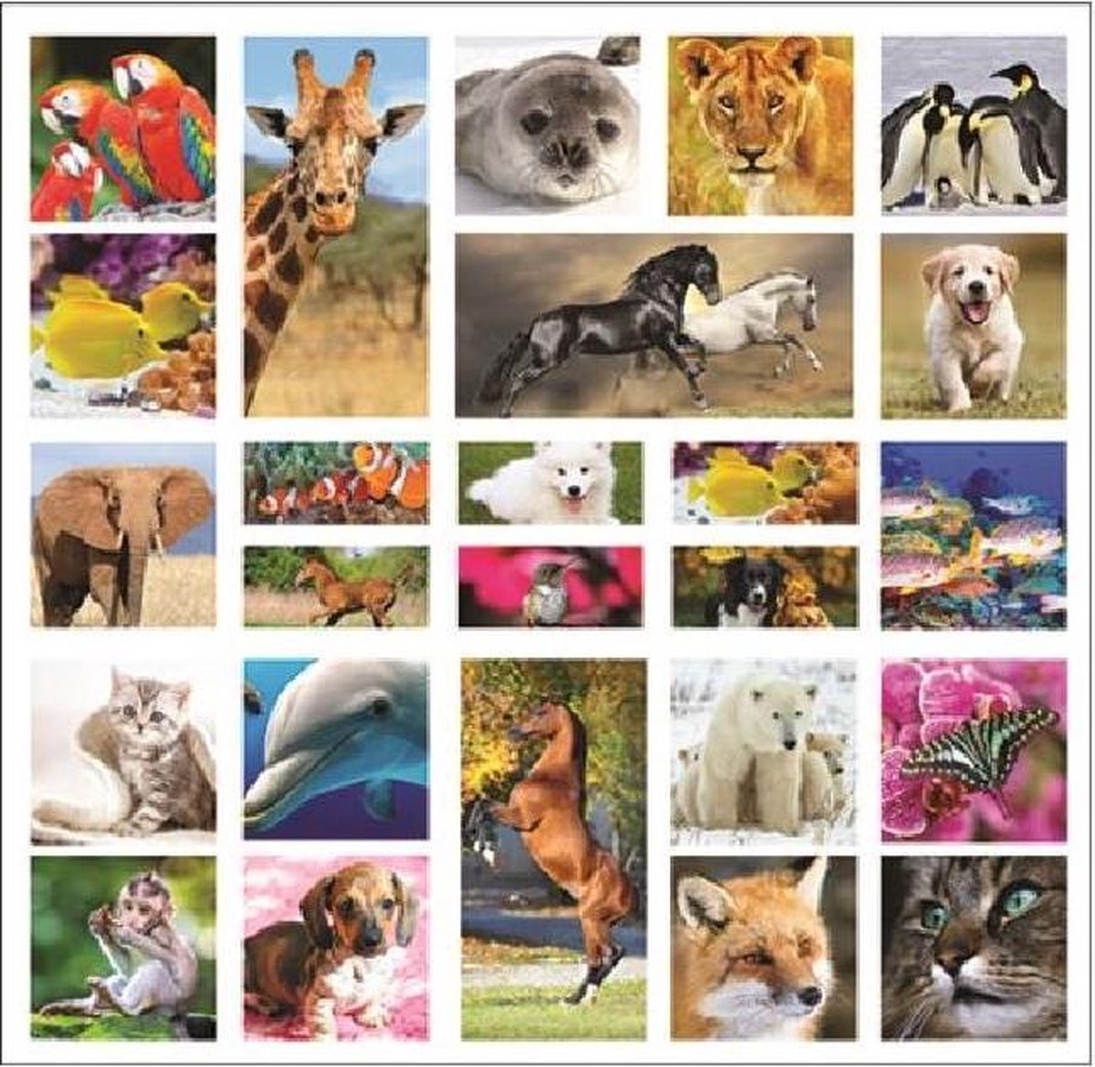 W&o Stickervel 3d Pop Up Dieren 20 X 19,5 Cm Papier 25 Stuks