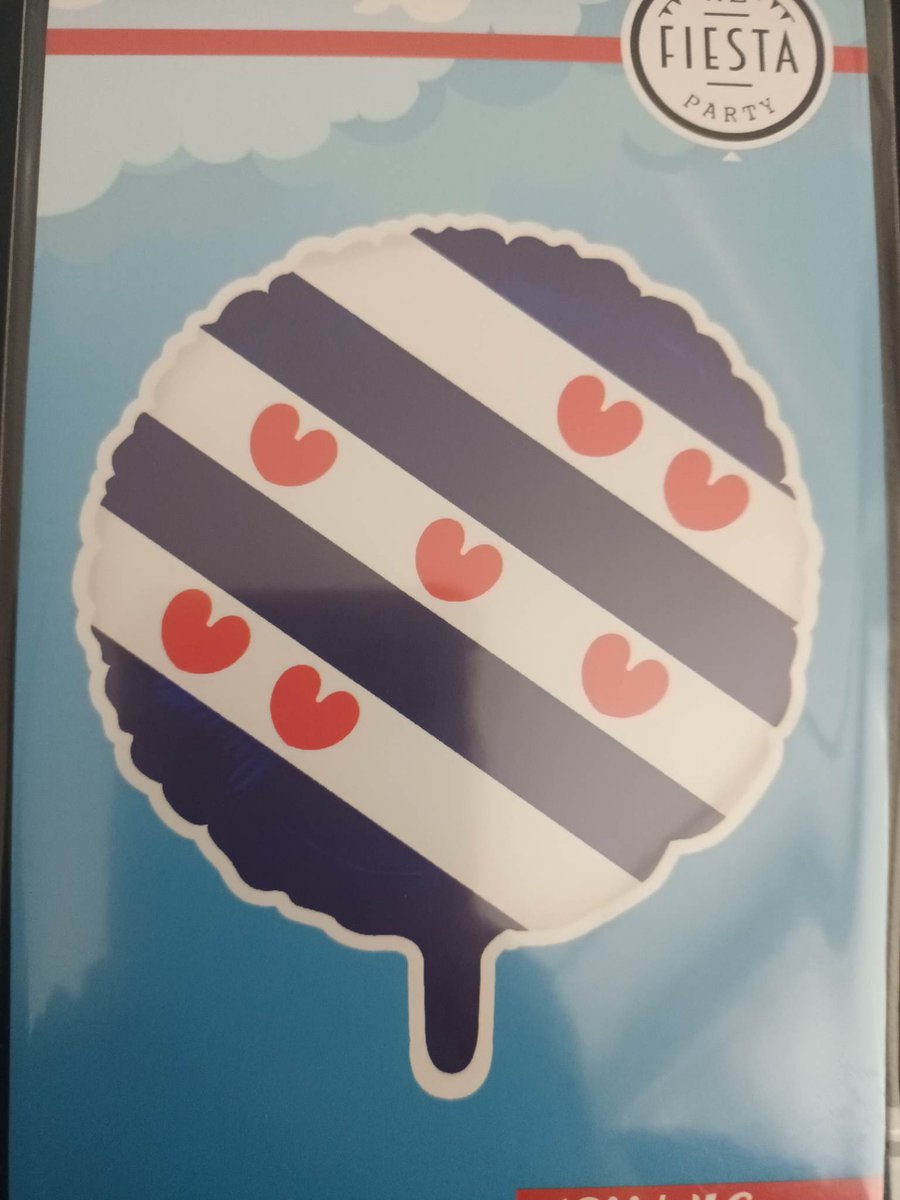 folieballon friesland