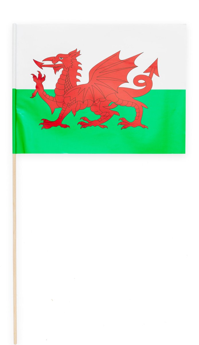 10 Papieren zwaai vlaggen 20 x 30 centimter Wales