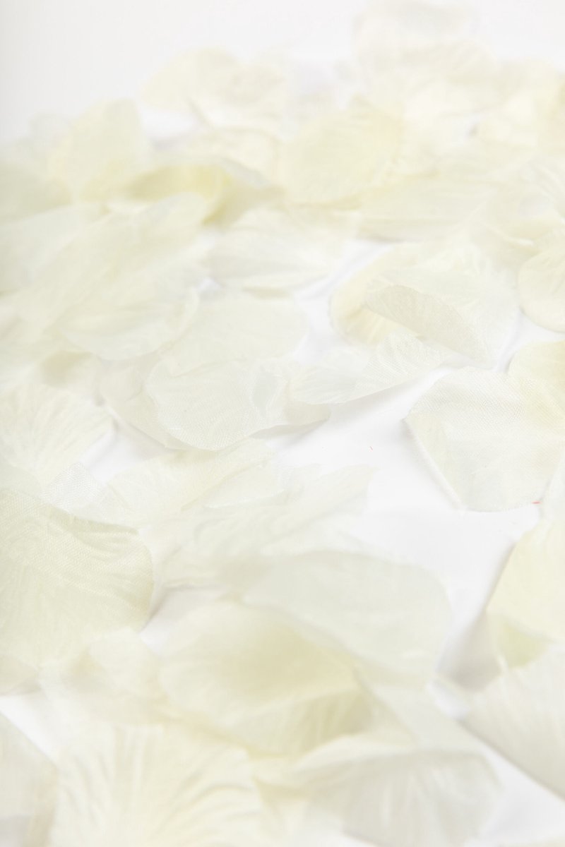 1500 Rozenblaadjes Creme - Bruiloft Huwelijk Decoratie Rozen blaadjes