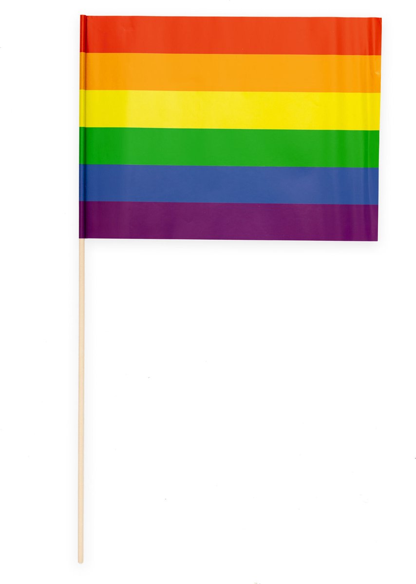20 Papieren zwaai vlaggen 20 x 30 centimter Regenboog