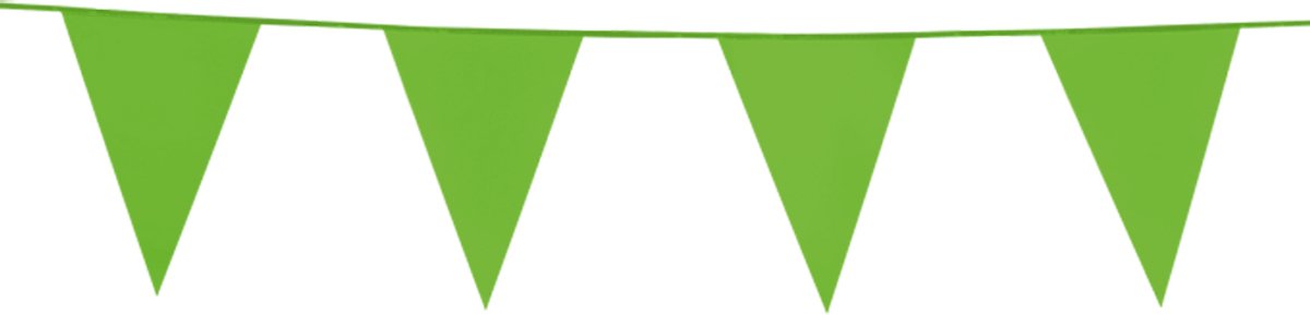 2x Vlaggenlijn Licht Groen 10 meter - Verjaardag Feest Party Festival Poolparty Decoratie