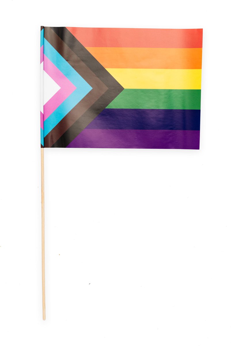 30 Papieren zwaai vlaggen 20 x 30 centimter Progress