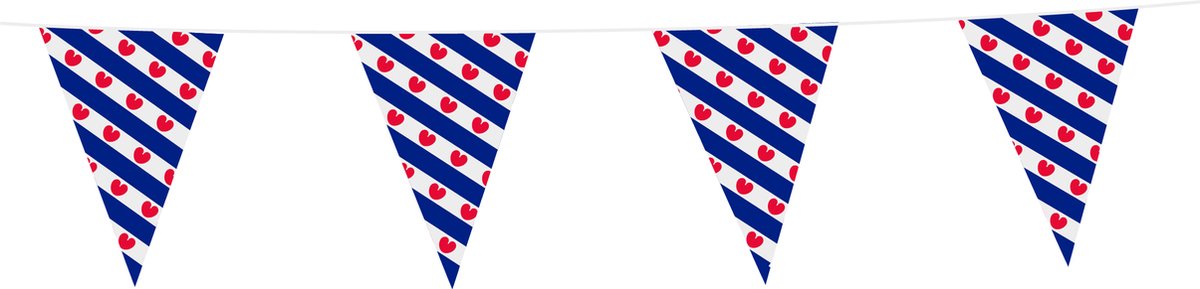 Vlaggenlijn Frysland 10 Meter - Voetbal EK WK Landen Feest Versiering Decoratie